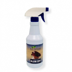 Spray Blow Dry